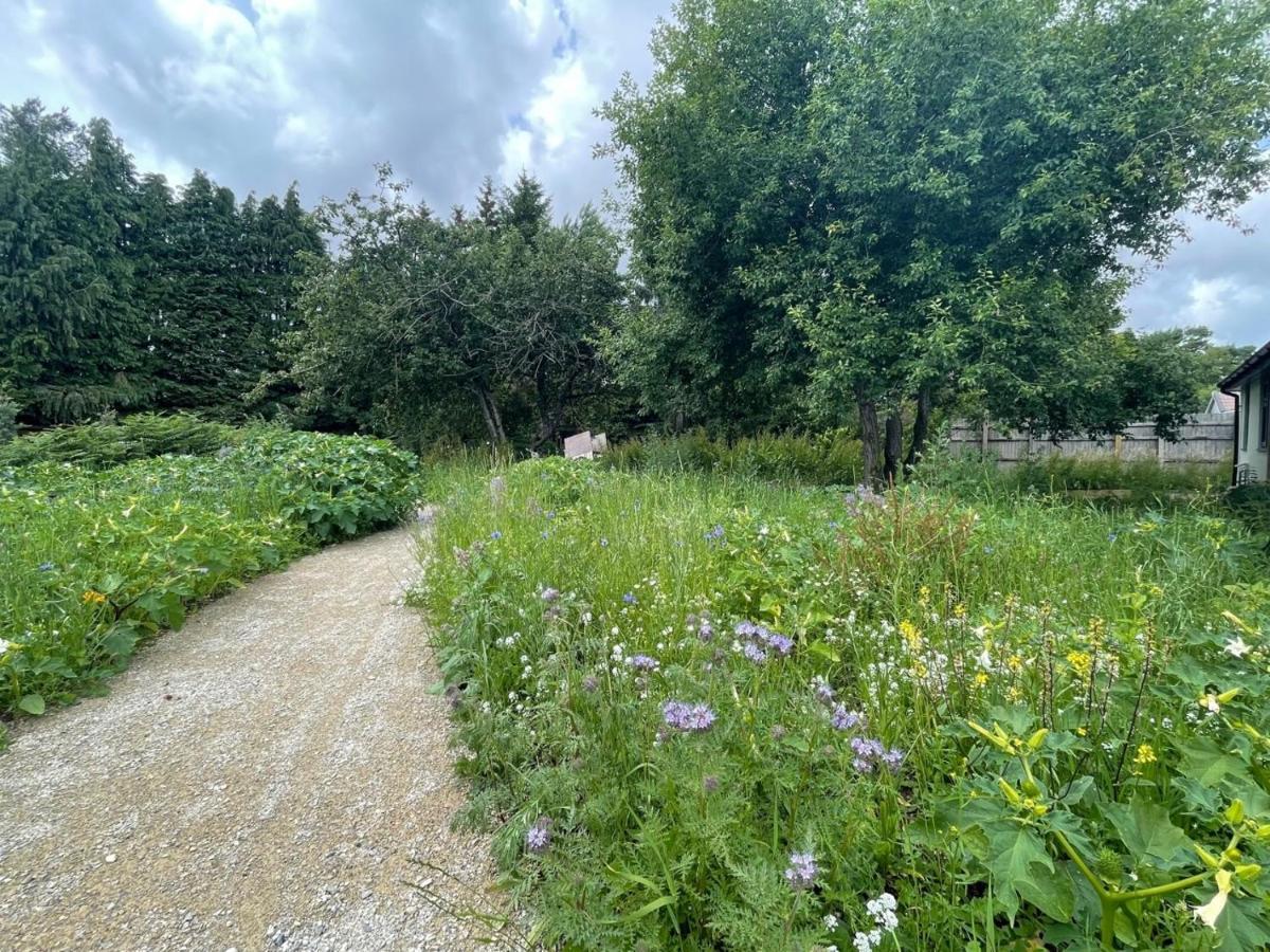 The Bearded Goat Den - A Rural Retreat At This Modern Holiday Cottage Saint Leonards Extérieur photo