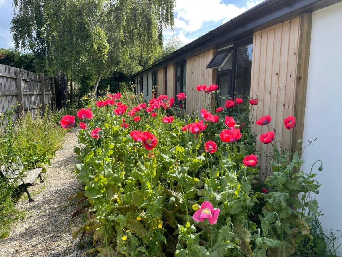 The Bearded Goat Den - A Rural Retreat At This Modern Holiday Cottage Saint Leonards Extérieur photo